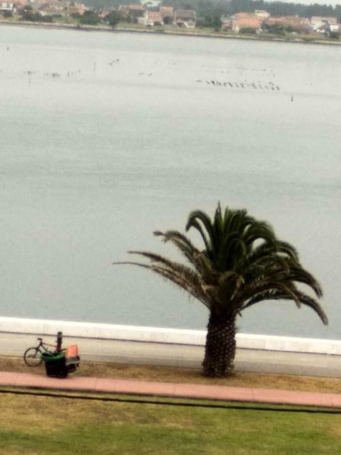 Casa Das Riscas Verdes Gafanha da Encarnacao Exteriör bild